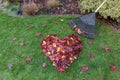 Fallen Leaves Raked into Heart Shape on Green Grass Lawn