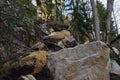 Fallen rock in Peklo valley in czech turist region Machuv kraj