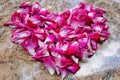 Fallen rose petals form love on the floor Royalty Free Stock Photo