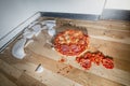 Fallen and shatter plate with food in kitchen