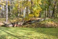 Fallen tree on a brook bank. Veltrusy. Royalty Free Stock Photo