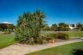 A fallen tree causes a hazard on a local footpath