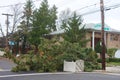 Fallen tree damaged house in the aftermath of Hurricane Sandy in Brooklyn, New York