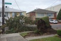 Fallen tree damaged house in the aftermath of Hurricane Sandy in Brooklyn, New York