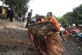 Fallen Tree Disaster Management