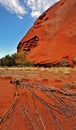 Fallen tree in front of Uluru (Ayers Rock) Royalty Free Stock Photo