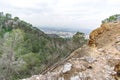 A fallen tree on a hill Royalty Free Stock Photo