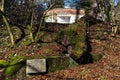 Fallen tree with a house behind Royalty Free Stock Photo