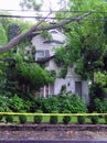 Fallen Tree On House - Hurricane Damage