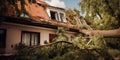 fallen tree on house roof after hurricane. property insurance Royalty Free Stock Photo