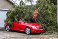 Fallen tree lands on car after high wind