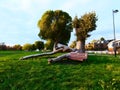 Fallen tree lying beside a park bench Royalty Free Stock Photo