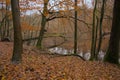 Fallen tree over a lake in Sonian forest in fall Royalty Free Stock Photo