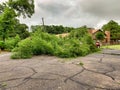 Fallen tree and parked car Royalty Free Stock Photo