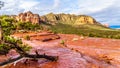 Fallen Tree After A Rain Storm On The Red Rocks Of Coconino National Forest, With In The Background The Colorful Cathedral Rock