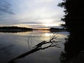 Fallen Tree Reflection in Water During Sunset Over Beautiful Lake with Cloudy Sky in background Royalty Free Stock Photo