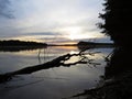 Fallen Tree Reflection in Water During Sunset Over Beautiful Lake with Cloudy Sky in background Royalty Free Stock Photo