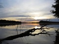 Fallen Tree Reflection in Water During Sunset Over Beautiful Lake with Cloudy Sky in background Royalty Free Stock Photo