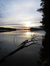 Fallen Tree Reflection in Water During Sunset Over Beautiful Lake with Cloudy Sky in background Royalty Free Stock Photo