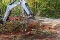 Fallen tree after the storm hurricane uprooted trees close to the house and the trees fell in the street using a tractor Royalty Free Stock Photo