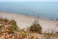 A storm-ravaged seashore, a fallen tree Royalty Free Stock Photo