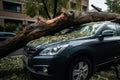 fallen tree trunk on a car after a hurruicane. insurance concept