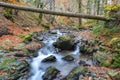 Fallen tree trunk over stream Royalty Free Stock Photo