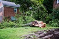 Fallen tree - wind damage to property Royalty Free Stock Photo