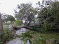 Damage caused by hurricane in the city of Cancun, Mexico