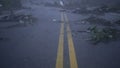 Fallen trees and debri from typhoon, upward tilt