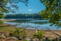 Fallen trees from erosion Royalty Free Stock Photo