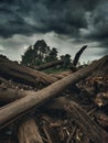 Fallen trees with gloomy sky Royalty Free Stock Photo
