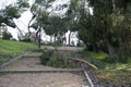 Fallen trees in the San Isidro park in Madrid after the snow storm Filomena. Destroyed trees, broken branches Royalty Free Stock Photo