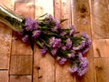 Fallen violet flower vase Royalty Free Stock Photo