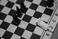 Fallen white king and black chess pieces on a chessboard - concept of victory Royalty Free Stock Photo