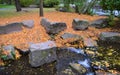 Fallen yellow leaves and rocks in park Royalty Free Stock Photo