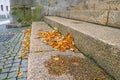 Fallen yellowed leaves lie on the steps in the city Royalty Free Stock Photo