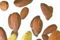 Falling almonds isolated on a white background, selective focus. Almond nuts levitate on a white background. Freeze