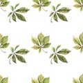 Falling autumn chestnut leaves. Seamless botanical pattern. Hand drawn watercolor illustration on white background. Royalty Free Stock Photo