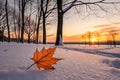 Falling Autumn Leaf on Snowy Ground at Sunset - generated by ai Royalty Free Stock Photo