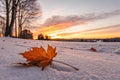 Falling Autumn Leaf on Snowy Ground at Sunset - generated by ai Royalty Free Stock Photo