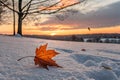 Falling Autumn Leaf on Snowy Ground at Sunset - generated by ai Royalty Free Stock Photo