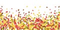 Falling autumn leaves. Red, yellow, green, brown c