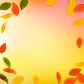 Falling autumn leaves. Red, yellow