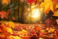 Falling Autumn leaves before sunset Royalty Free Stock Photo