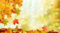 Falling autumn maple leaves natural background Royalty Free Stock Photo