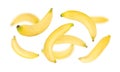 Falling Banana isolated on white background with clipping path, full depth of field.
