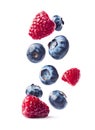 falling berries of raspberry and blueberries Royalty Free Stock Photo