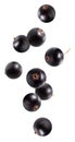 Falling black currant isolated on white Royalty Free Stock Photo