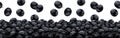 Falling black olives isolated on white background, heap of black pickled olives, seamless pattern